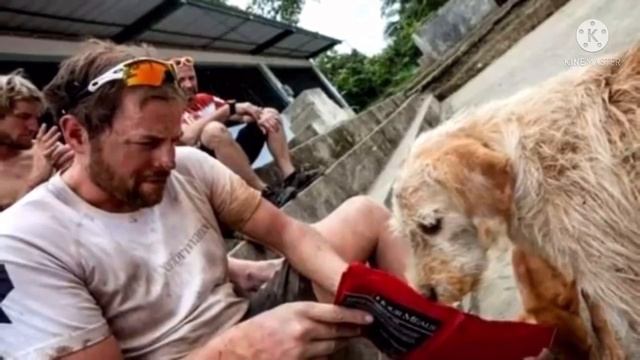 Спортсмены накормили бездомную собаку и не подозревали, к чему это приведет смотреть онлайн