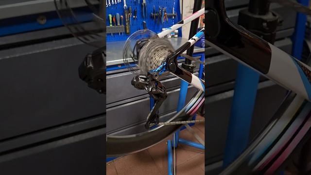 Colnago Тадея Погачара
