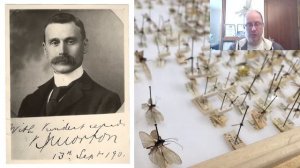 SPNHC 2021 Virtual Collection Tour - The Entomological Collections at National Museums, Scotland