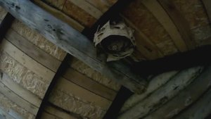 Валю Гнездо Шершней - Весна -2018