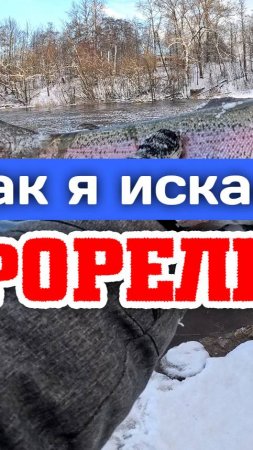 Как я поймал свой ТРОФЕЙ ФОРЕЛЬ