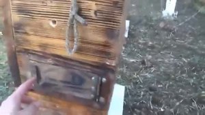 Пчеловодство в Японии. Японский улей