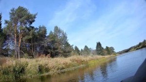 Нахлыстовая осень На Мологе Часть 6