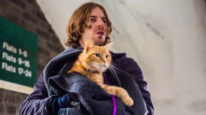 Уличный кот по кличке Боб (краткий пересказ фильма. МУВИКОТ)