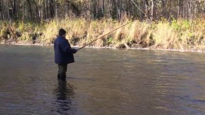 Сибирская рыбалка на хариуса осенью.