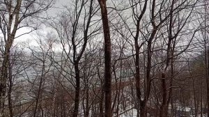 Рождественский Светлогорск. День второй