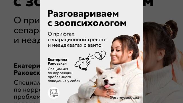 Разговариваем с зоопсихологом о приютах, сепарационной тревоге и неадекватах с авито