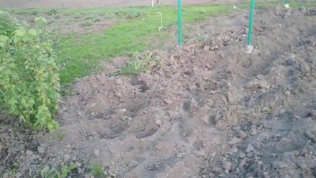 Виноград 6 мая . 2023 г ждём мороза смотреть онлайн