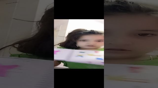 обзор котолога