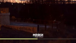 Сам себе плацебо. 1, 2 и 3 этап.Джо Диспенза. Медитация