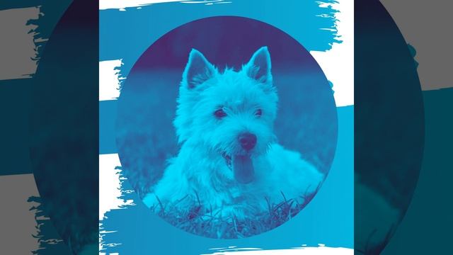 Звуки (Спящие собаки) смотреть онлайн