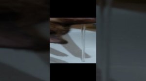 плюша моица