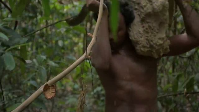 Копаем для строительства подземного дома и подземного бассейна - 1.