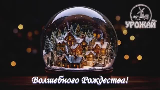 Волшебного Рождества!