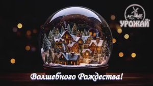 Волшебного Рождества!