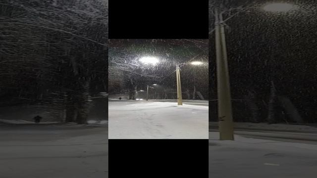 03.12.2021 Ватный снег. Академ городок, Инженерная