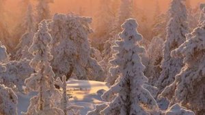 Жизненные истории со смыслом - Обман, который изменил всё...