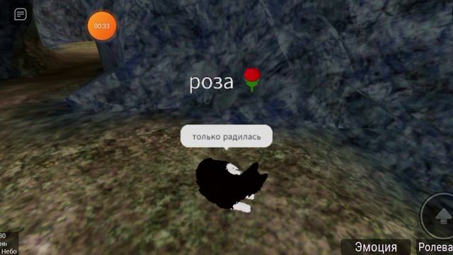 🩷
