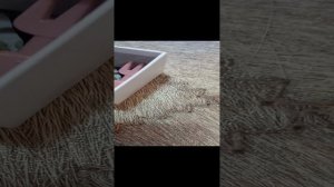 мои сквиши лапки