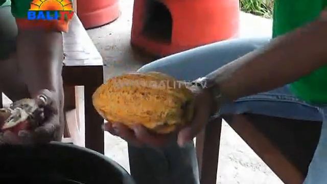 AGROBISNIS - PENGEMBANGAN PERTANIAN KAKAO 18 APRIL 2018