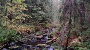 Еж-гора - еще одна рукотворная загадка Вологодчины. Одиночный поход. Таинственное явление на вершине