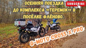 🔴Осенняя поездка на мопедах G-Moto CrossX до архитектурного комплекса «Теремок» в посёлке #Флёново