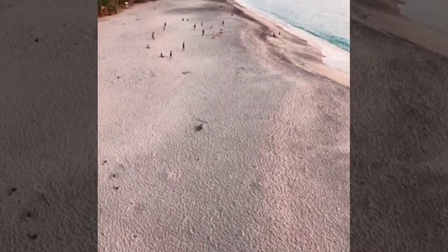 Красота_нашего_мира_4