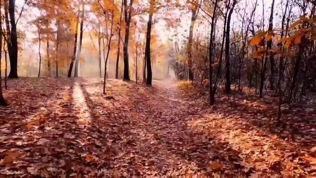 ЖЕВАНЫЙ СОСИСКА В ТЕСТЕ. ОЛЬГА УРАЛОЧКА LIVE. ОБЗОР. смотреть онлайн