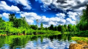 МИГРЕНЬ (ГОЛОВНАЯ БОЛЬ)* Исцеление Звуком (частоты P. Schmidt)