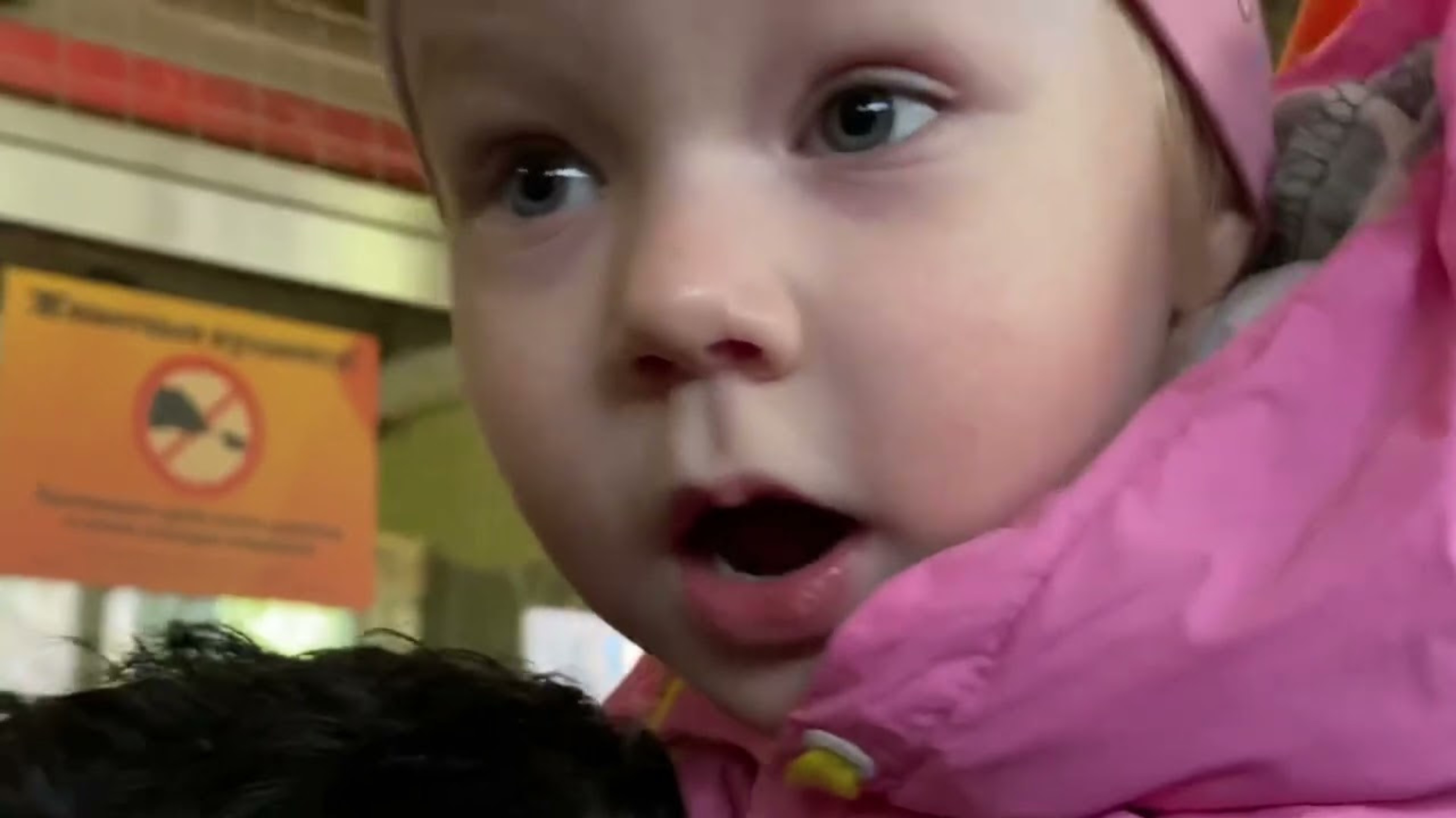 Обзор Ленинградского зоопарка смотреть онлайн