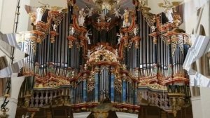 Царь музыкальных инструментов!