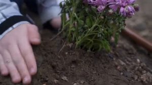 ЗАПАХ СЧАСТЬЯ. Учебный короткометражный фильм.