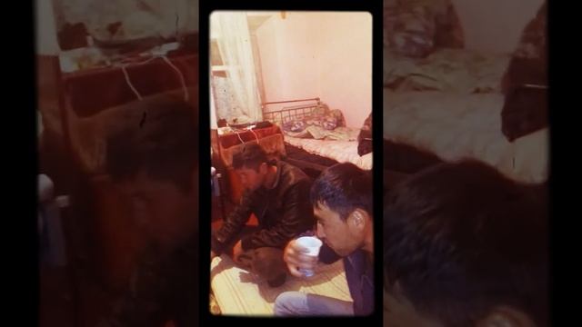 ден рождения денов