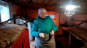 Почему в КУРЯТНИКЕ большая ВЛАЖНОСТЬ. Можно ли курам ГУЛЯТЬ ЗИМОЙ.