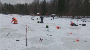 Интересная рыбалка по форели на запуске. В "полях" - трудимся. Верхний пруд в Клёвом лосиный остров