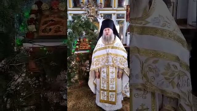 Поздравление с Рождеством от игумена Антония из Малых Ясырок