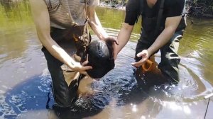 Зайцева гора высота 269.8 раскопки 2021