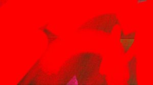 это от кошалода