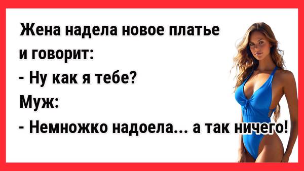 Новые и смешные анекдоты. Прикольные анекдоты.
