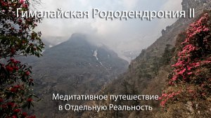 Гималайская Рододендрония II Медитативные путешествия в Отдельные Реальности  Гималаев.