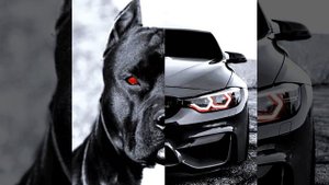 Новая хитовая лезгинка в машину