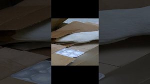 Обогащение среды. Задача на поиск корма. Процесс поиска