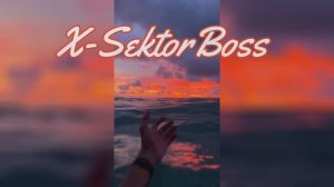 X-SektorBoss 192 - Покажи дорогу...