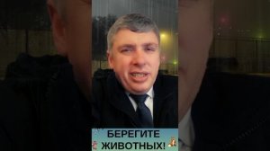 🐈 Слепой Котёнок. Комиссаров Эдуард Михайлович - Цитаты про кошек. #кошкидома