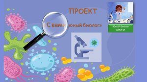Изучение искусственных сообществ и их обитателей (на примере аквариума и др.)