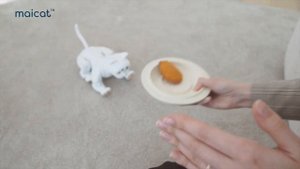 Maicat, Your AI Robot Cat (2022)