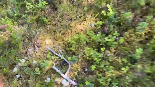 Карелия территория счастья: Часть 2 смотреть онлайн