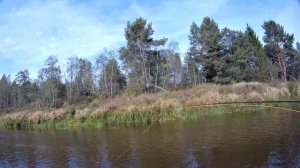 Нахлыстовая осень На Мологе Часть 3