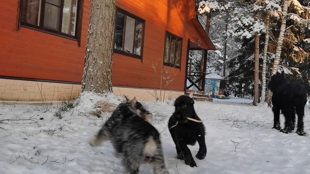 VID_20250104_152207.mp4
