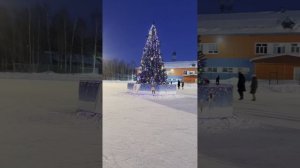Один день из моей жизни